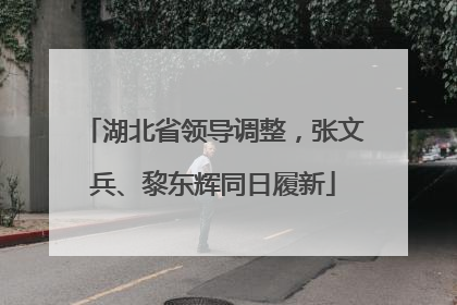 湖北省领导调整，张文兵、黎东辉同日履新