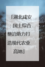湖北咸安：国土综合整治助力打造现代农业高地