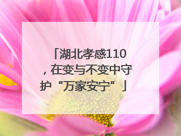 湖北孝感110，在变与不变中守护“万家安宁”
