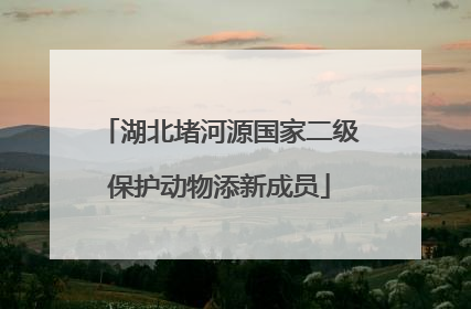 湖北堵河源国家二级保护动物添新成员