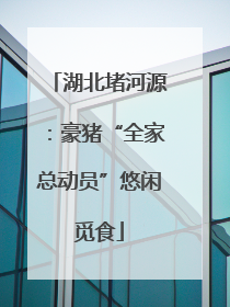 湖北堵河源：豪猪“全家总动员”悠闲觅食