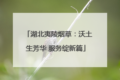 湖北夷陵烟草：沃土生芳华 服务绽新篇