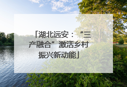 湖北远安：“三产融合”激活乡村振兴新动能