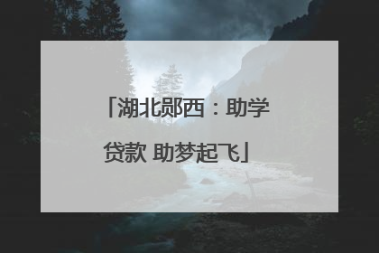 湖北郧西：助学贷款 助梦起飞