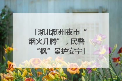 湖北随州夜市“烟火升腾”，民警“枫”景护安宁