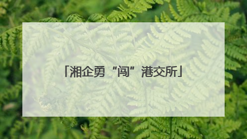 湘企勇“闯”港交所