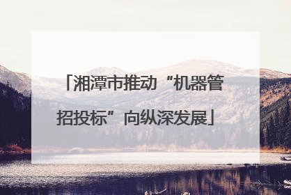 湘潭市推动“机器管招投标”向纵深发展