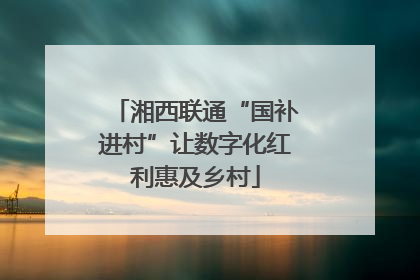 湘西联通“国补进村”让数字化红利惠及乡村