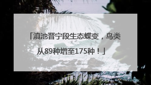 滇池晋宁段生态蝶变，鸟类从89种增至175种！