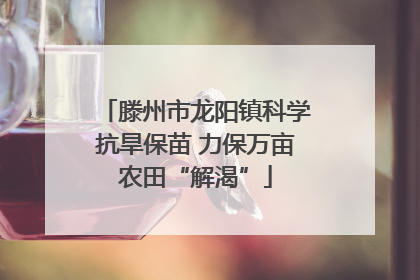滕州市龙阳镇科学抗旱保苗 力保万亩农田“解渴”