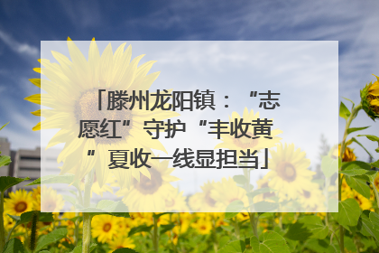 滕州龙阳镇：“志愿红”守护“丰收黄”夏收一线显担当