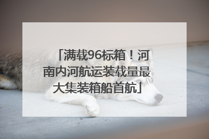 满载96标箱！河南内河航运装载量最大集装箱船首航