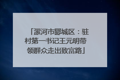 漯河市郾城区：驻村第一书记王元明带领群众走出致富路