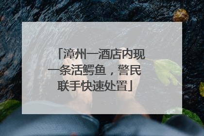 漳州一酒店内现一条活鳄鱼，警民联手快速处置