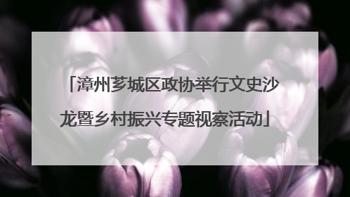 漳州芗城区政协举行文史沙龙暨乡村振兴专题视察活动