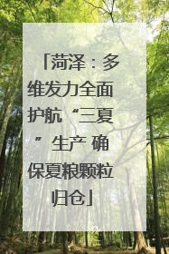 菏泽：多维发力全面护航“三夏”生产 确保夏粮颗粒归仓