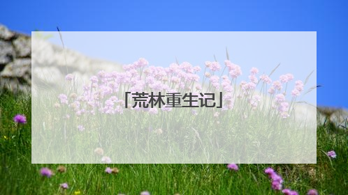 荒林重生记