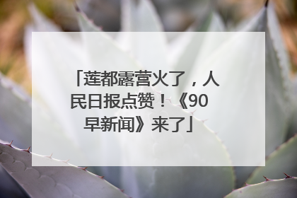 莲都露营火了，人民日报点赞！《90早新闻》来了