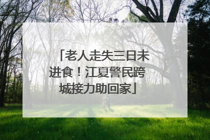 老人走失三日未进食！江夏警民跨城接力助回家
