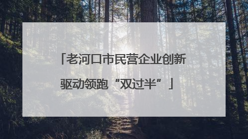 老河口市民营企业创新驱动领跑“双过半”