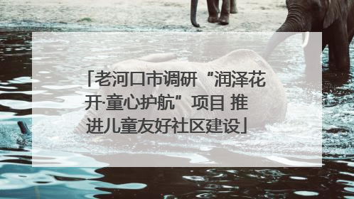 老河口市调研“润泽花开·童心护航”项目 推进儿童友好社区建设