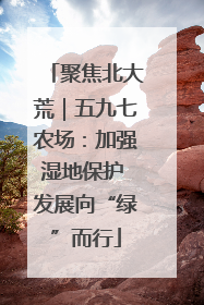 聚焦北大荒｜五九七农场：加强湿地保护 发展向“绿”而行