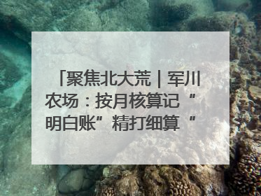 聚焦北大荒｜军川农场：按月核算记“明白账”精打细算“过紧日子”