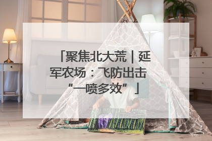 聚焦北大荒｜延军农场：飞防出击 “一喷多效”