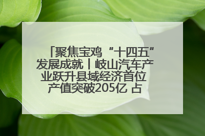聚焦宝鸡“十四五”发展成就丨岐山汽车产业跃升县域经济首位 产值突破205亿 占规上工业75%