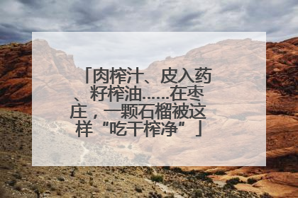肉榨汁、皮入药、籽榨油……在枣庄，一颗石榴被这样“吃干榨净”