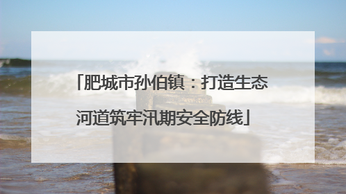 肥城市孙伯镇：打造生态河道筑牢汛期安全防线