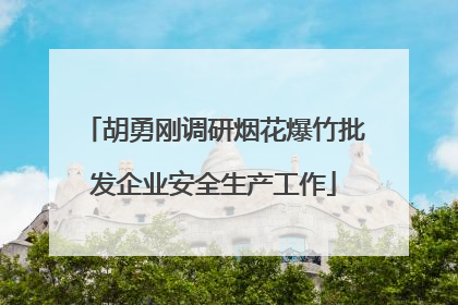 胡勇刚调研烟花爆竹批发企业安全生产工作