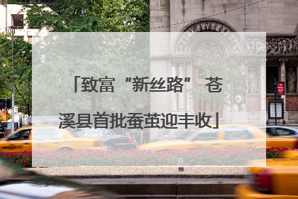 致富“新丝路” 苍溪县首批蚕茧迎丰收