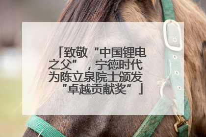 致敬“中国锂电之父”，宁德时代为陈立泉院士颁发“卓越贡献奖”