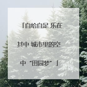 自给自足 乐在其中 城市里的空中“田园梦”