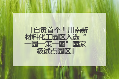 自贡首个！川南新材料化工园区入选“一园一策一图”国家级试点园区