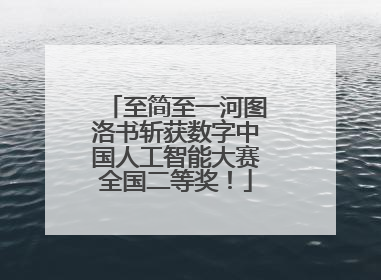 至简至一河图洛书斩获数字中国人工智能大赛全国二等奖！