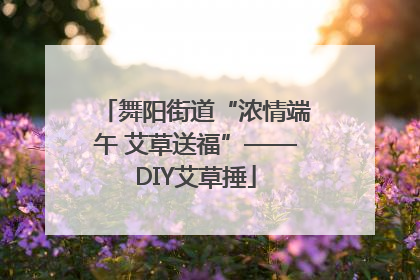 舞阳街道“浓情端午 艾草送福”——DIY艾草捶
