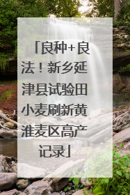 良种+良法！新乡延津县试验田小麦刷新黄淮麦区高产记录