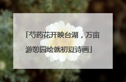 芍药花开映台湖，万亩游憩园绘就初夏诗画