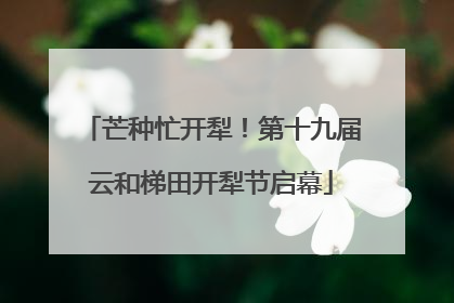 芒种忙开犁！第十九届云和梯田开犁节启幕