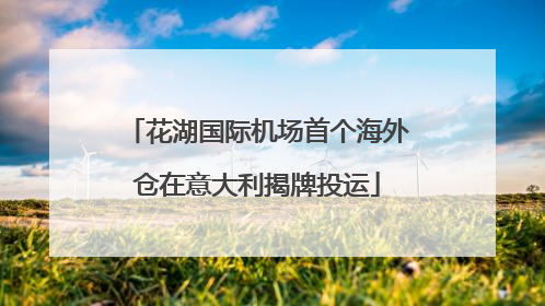 花湖国际机场首个海外仓在意大利揭牌投运