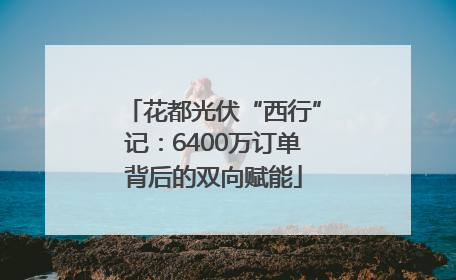 花都光伏“西行”记：6400万订单背后的双向赋能