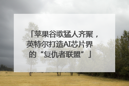 苹果谷歌猛人齐聚，英特尔打造AI芯片界的“复仇者联盟”