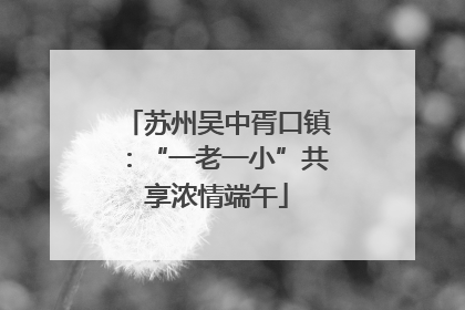 苏州吴中胥口镇：“一老一小”共享浓情端午
