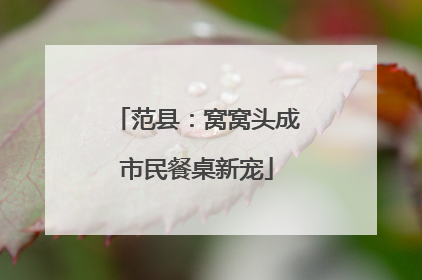 范县：窝窝头成市民餐桌新宠