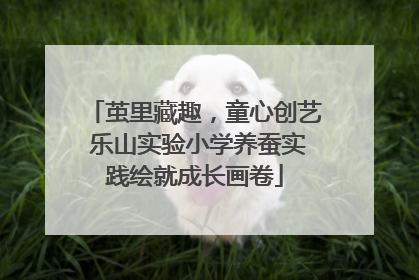 茧里藏趣，童心创艺 乐山实验小学养蚕实践绘就成长画卷