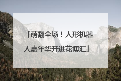 萌翻全场！人形机器人嘉年华开进花博汇