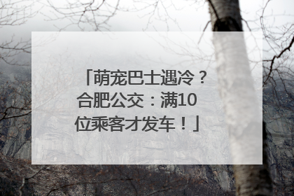 萌宠巴士遇冷？合肥公交：满10位乘客才发车！