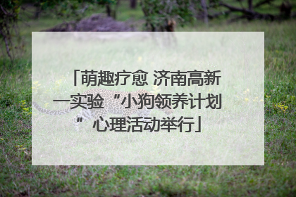 萌趣疗愈 济南高新一实验“小狗领养计划”心理活动举行